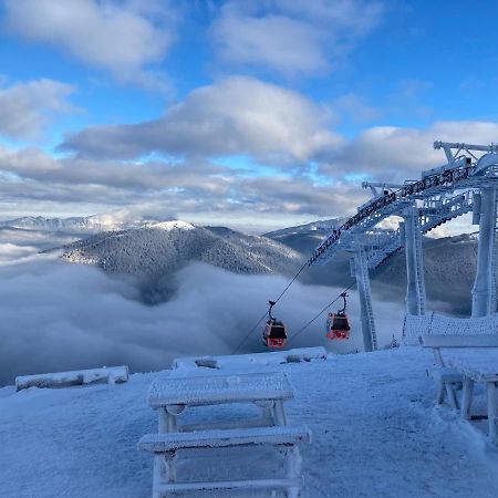 Ski View Studio - Near The Ski Slopes Azuga Esterno foto