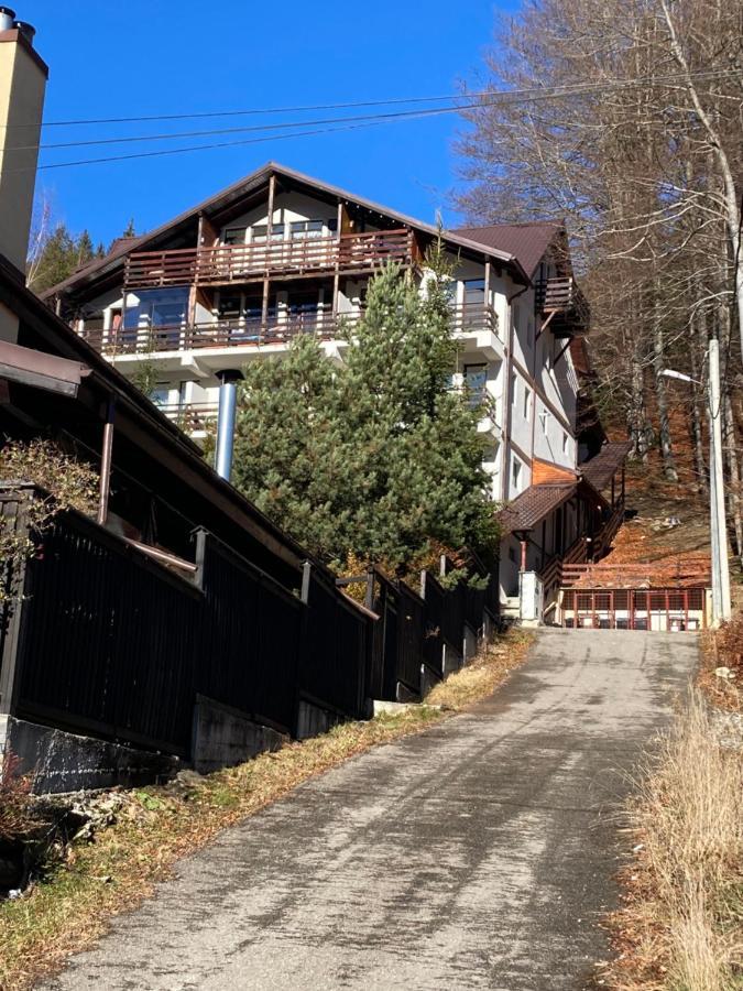 Ski View Studio - Near The Ski Slopes Azuga Esterno foto