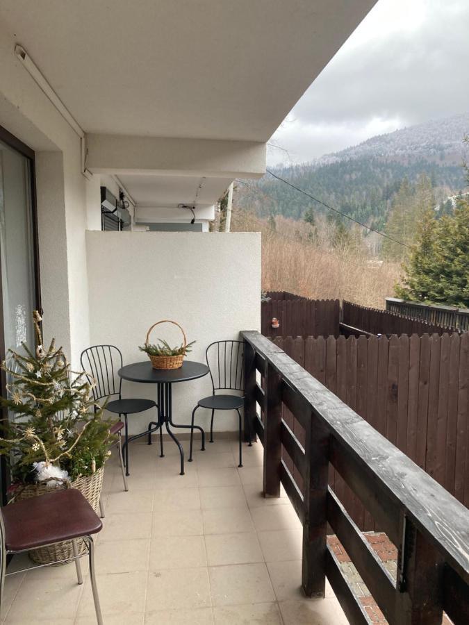 Ski View Studio - Near The Ski Slopes Azuga Esterno foto